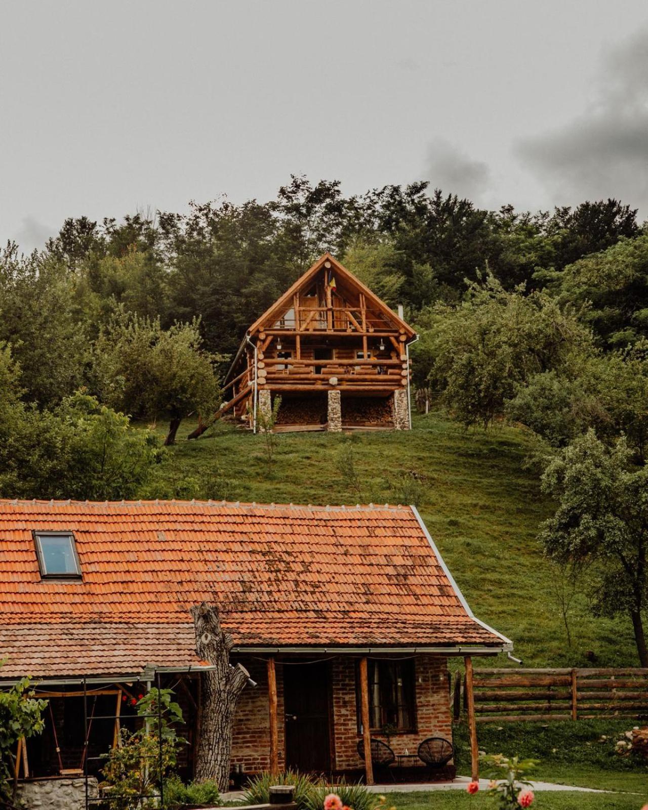 Heaven Treehouse - Adult Only Resort, Self Check In Pesteana Exterior photo