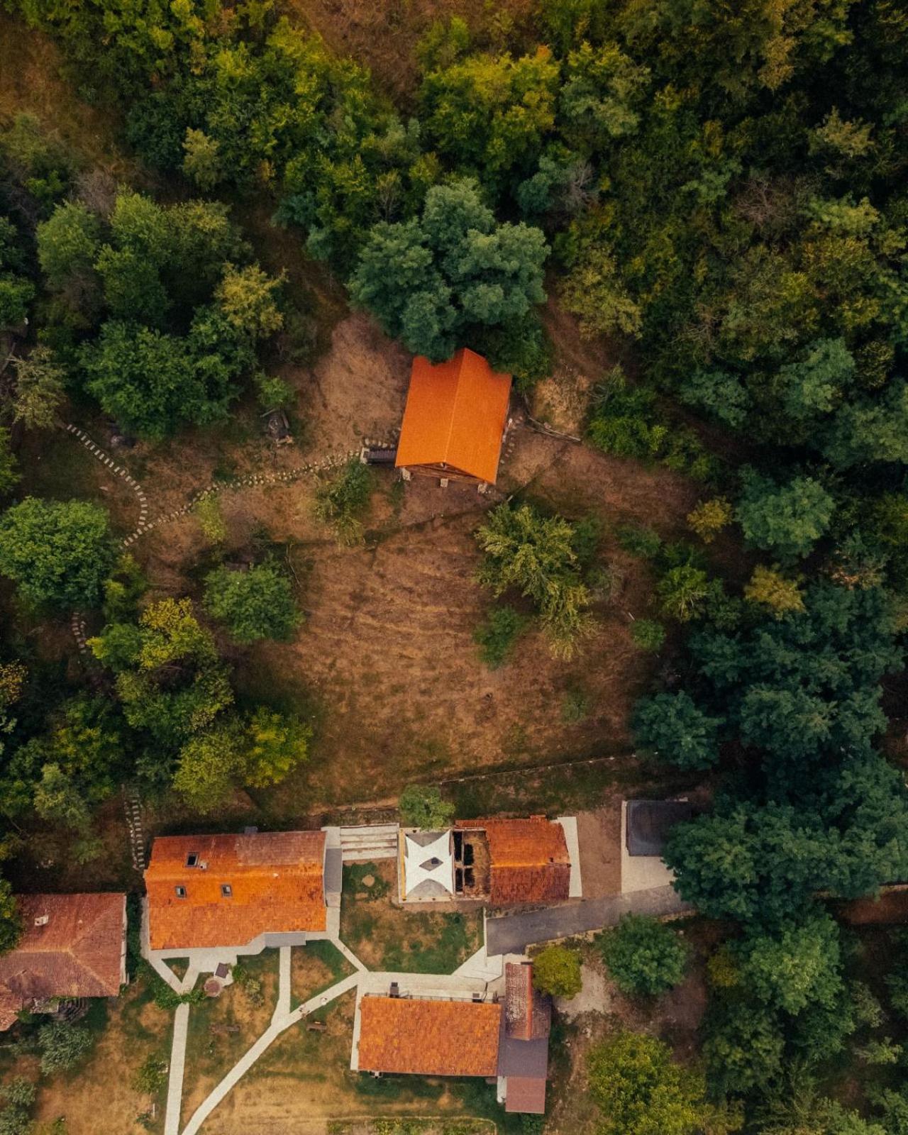 Heaven Treehouse - Adult Only Resort, Self Check In Pesteana Exterior photo